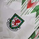 Wales 90/92 Home Classic/Retro Jersey – Fan Version