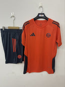 25/26 Away Jersey – Fan Version