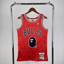 Chicago Bulls Classic/Retro Jersey – Fan Version
