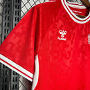 Dinamarca  2024 Home Jersey – Fan Version