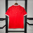 Dinamarca  2024 Home Jersey – Fan Version