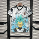 Japon 2024 Special Edition Away Jersey – Fan Version