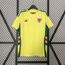Wales 2024 Away Jersey – Fan Version