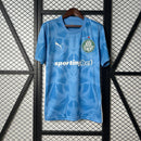 Palmeiras 25/26 Home Goalkeeper Jersey – Fan Version
